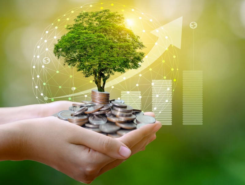 Investing in Sustainable and Green Energy Companies