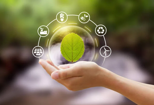 Sustainable Business Practices for the 21st Century