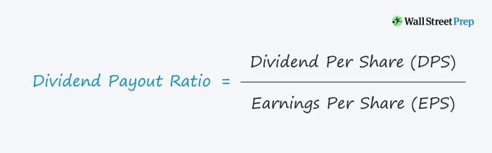 Dividend payout ratio formula given accounting per example share below