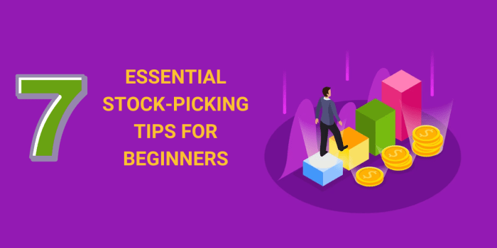 Stock stocks pick winning beginners course picking strategies saved investing