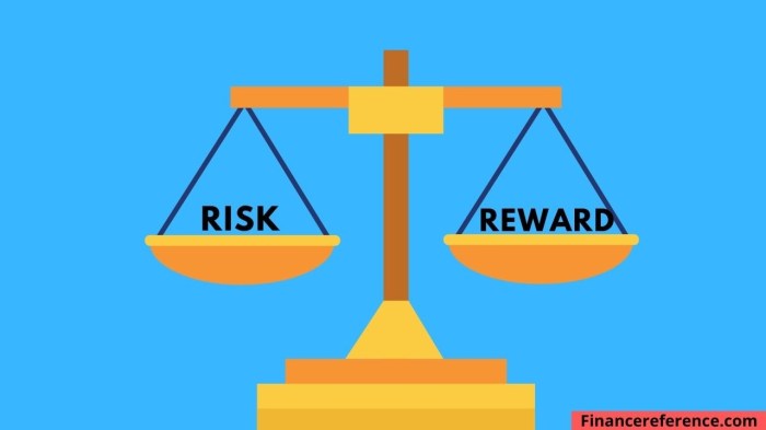 Risk investment reward balance investing