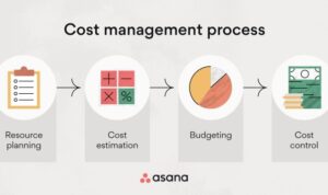 Planning profitability asana monitor budgeting