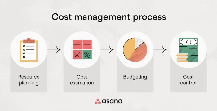 Planning profitability asana monitor budgeting