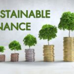 Sustainable oriented thefinancialpandora