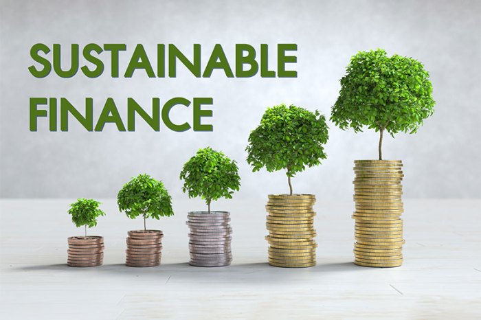 Sustainable oriented thefinancialpandora